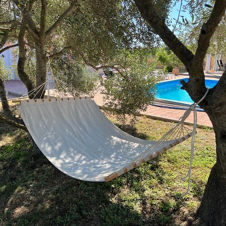 נוביגראד דאלמטיה Villa Paludo מראה חיצוני תמונה