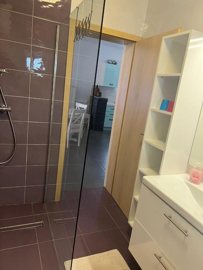 נוביגראד דאלמטיה Villa Paludo מראה חיצוני תמונה